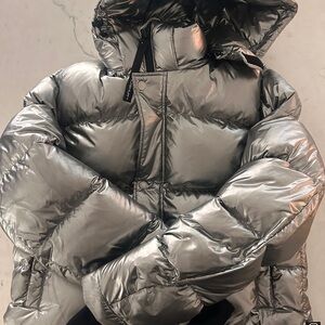 Aritzia Metallic Gray Puffer Jacket